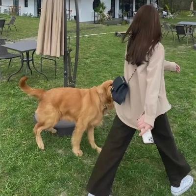 一剪芳华